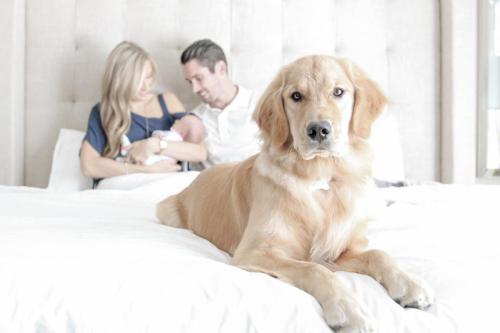 Newborn with pet